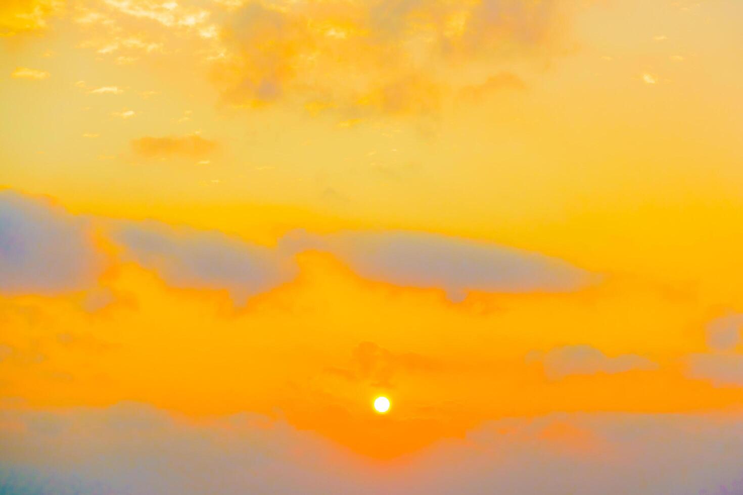 A plane flying over a field at sunset photo