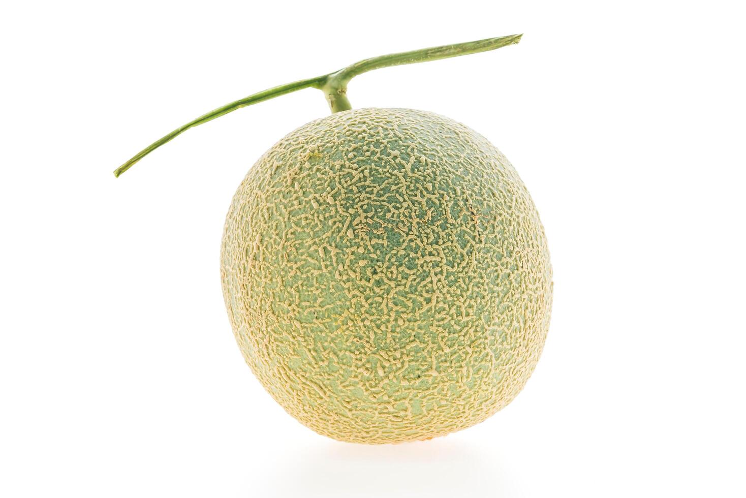 A single green melon on a white background photo