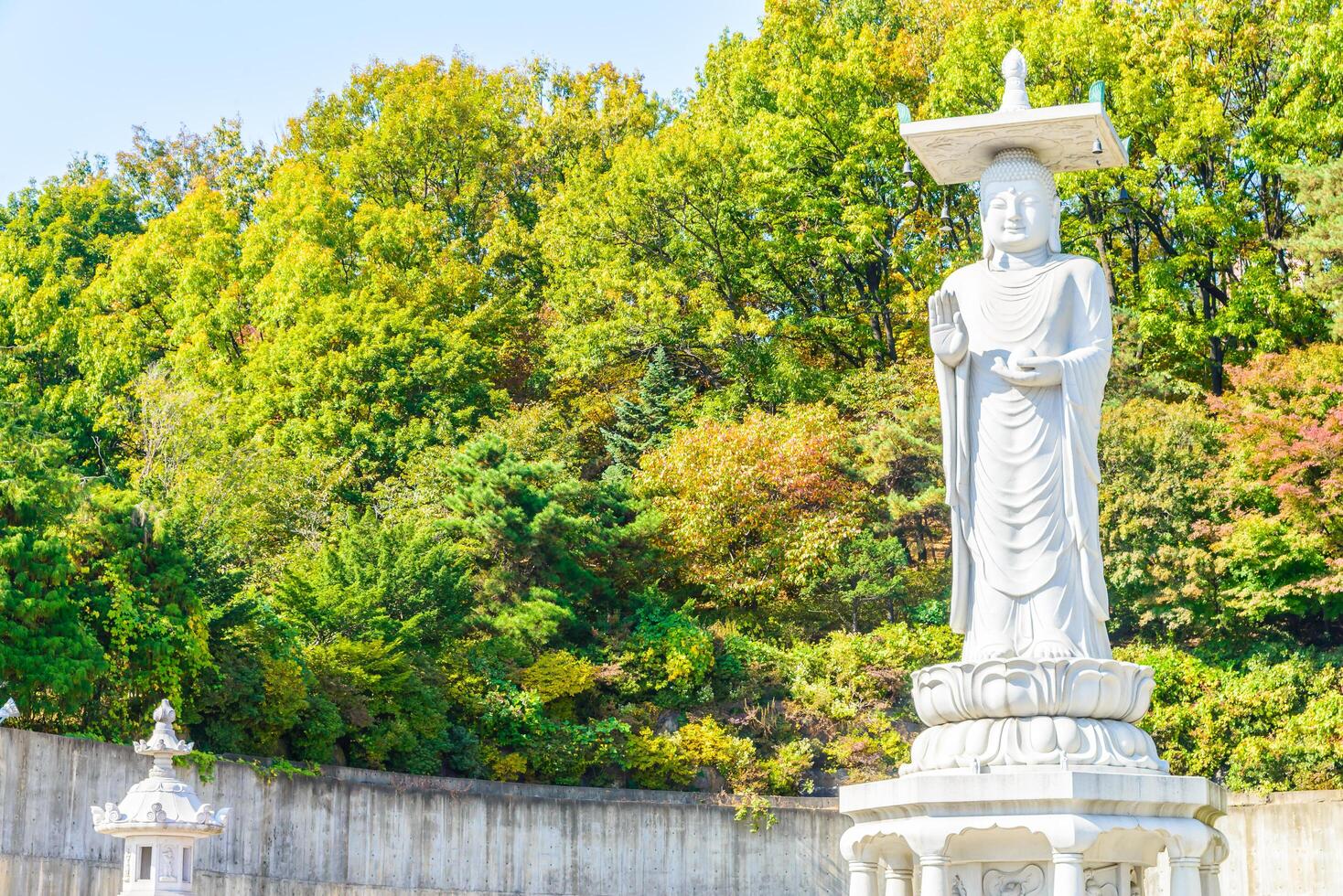 A statue of buddha in front of a forest photo
