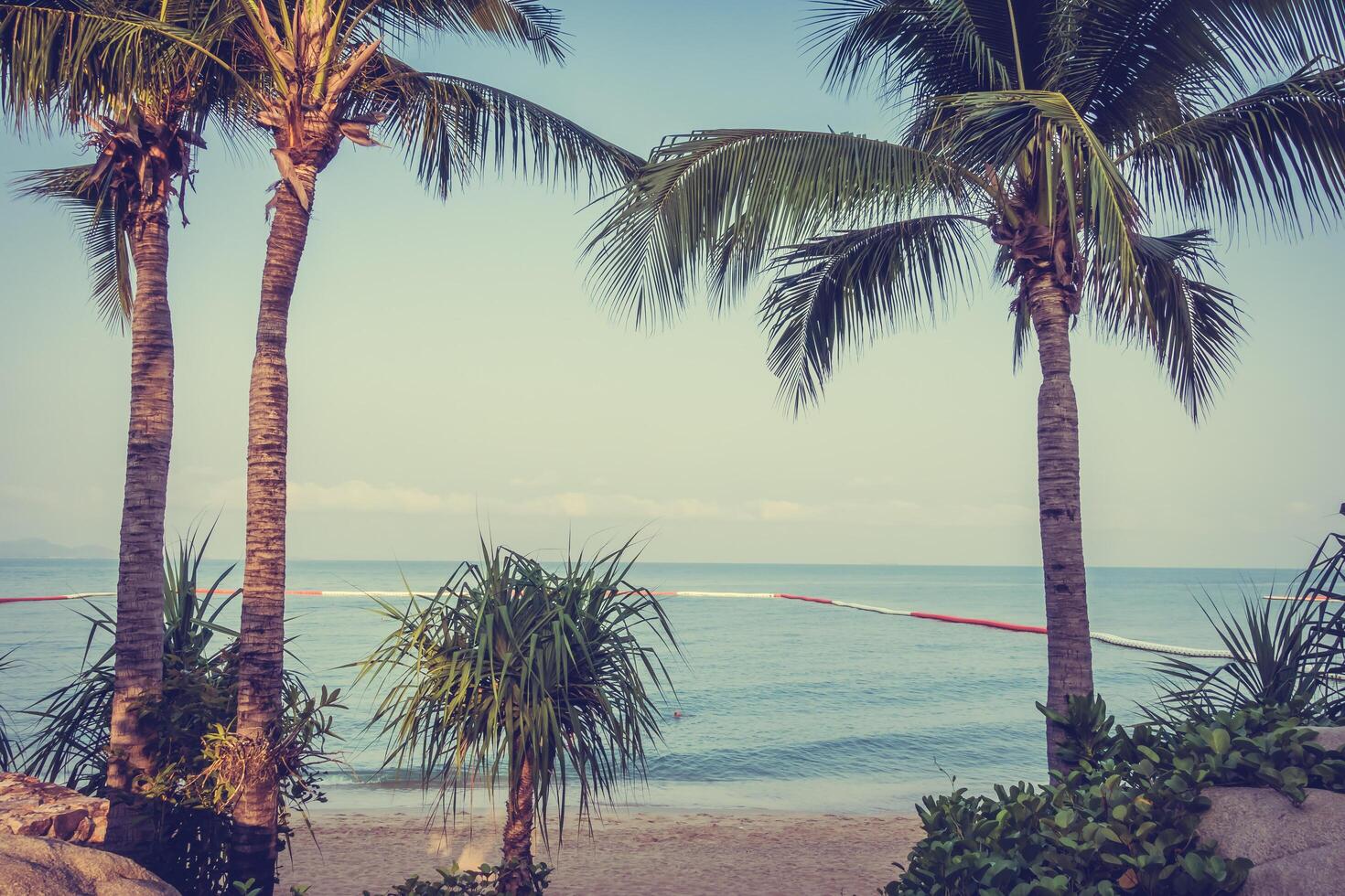 A view of the ocean from a beach with palm trees photo