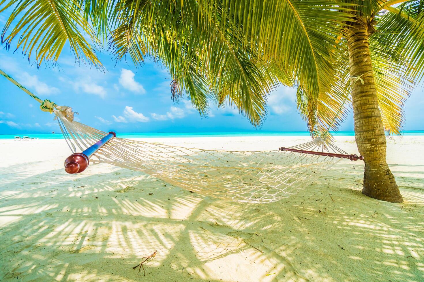 Hammock on tropical beach with palm trees photo