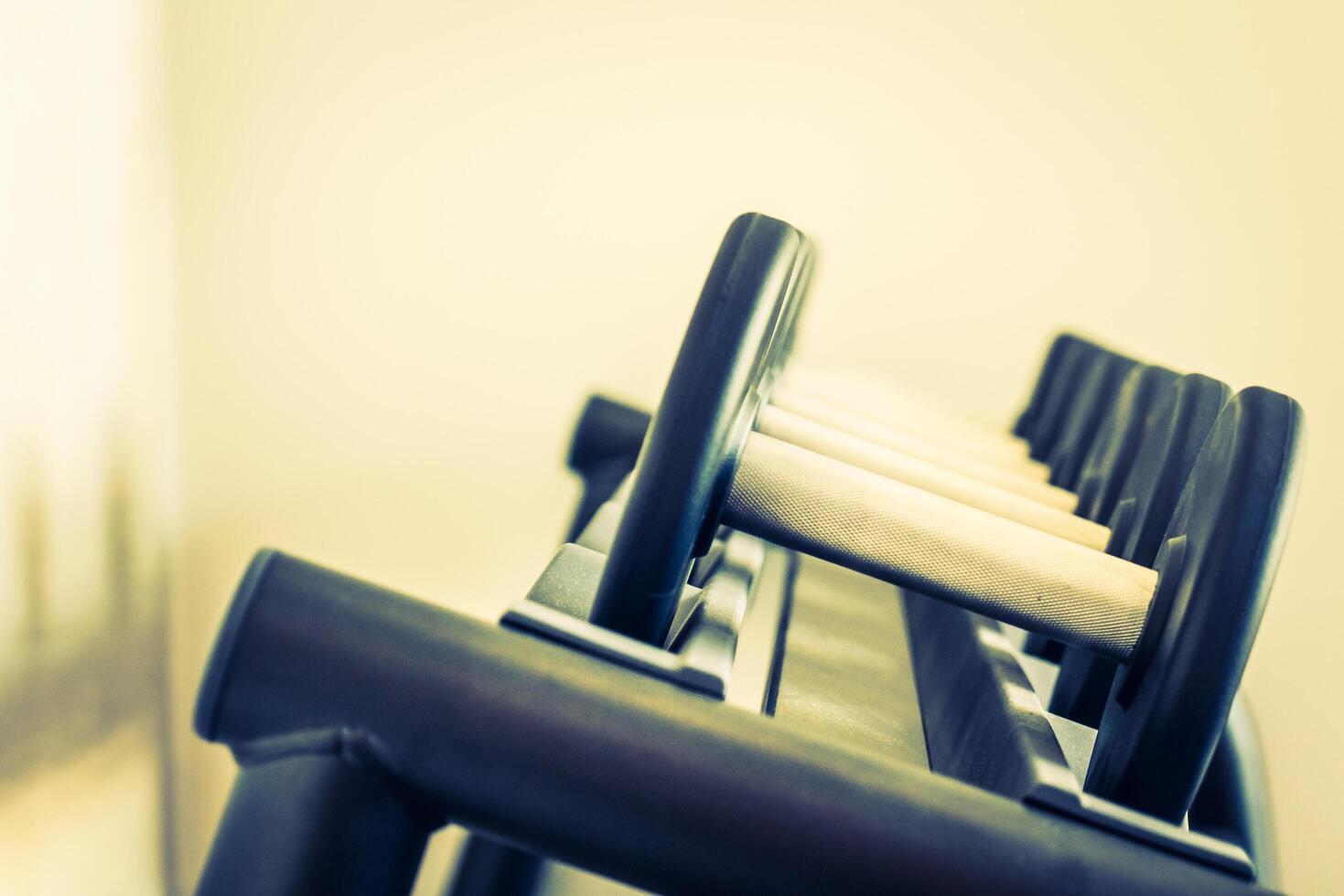 A row of dumbbells on a gym bench photo