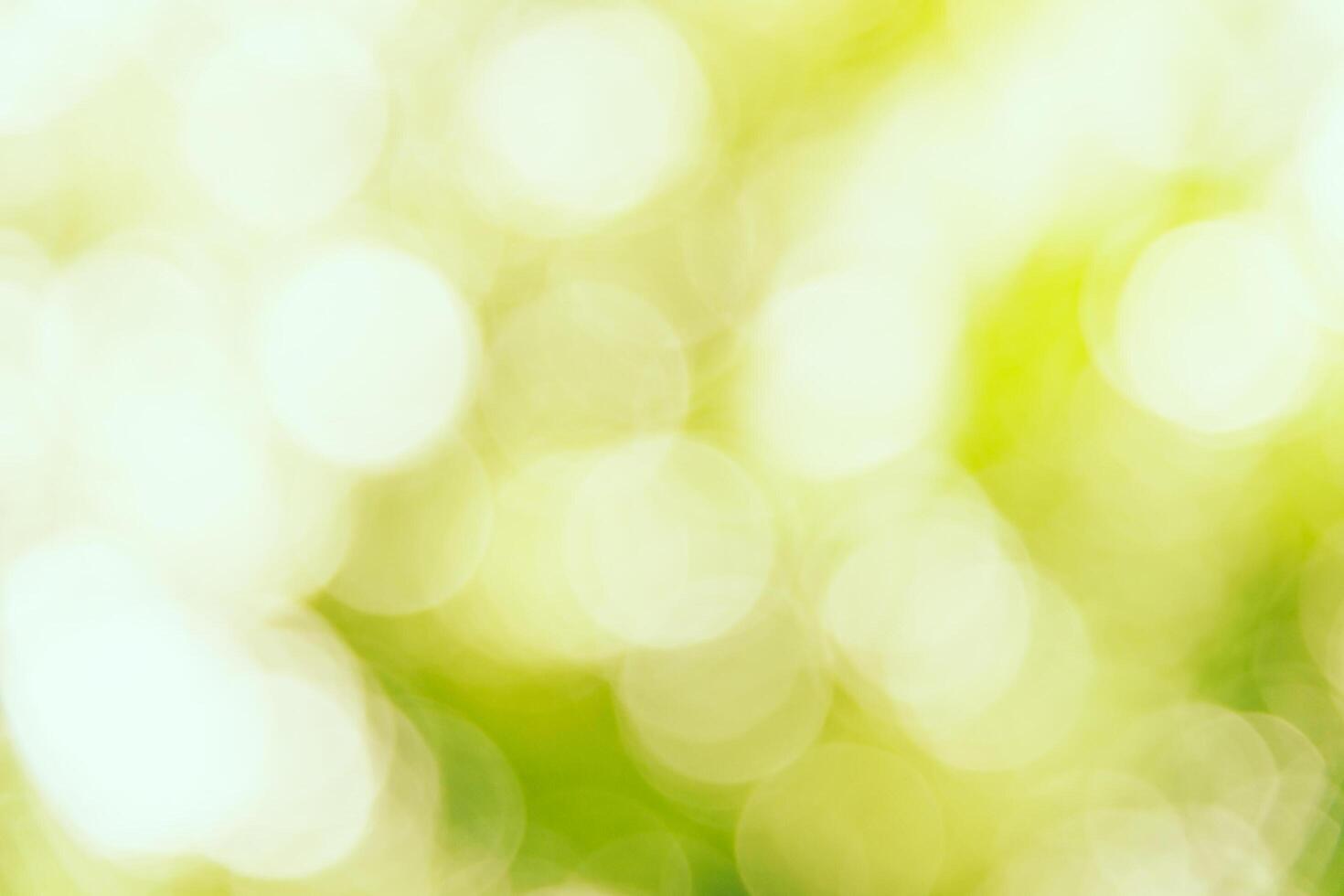 A green and yellow background with blurry bokeh photo