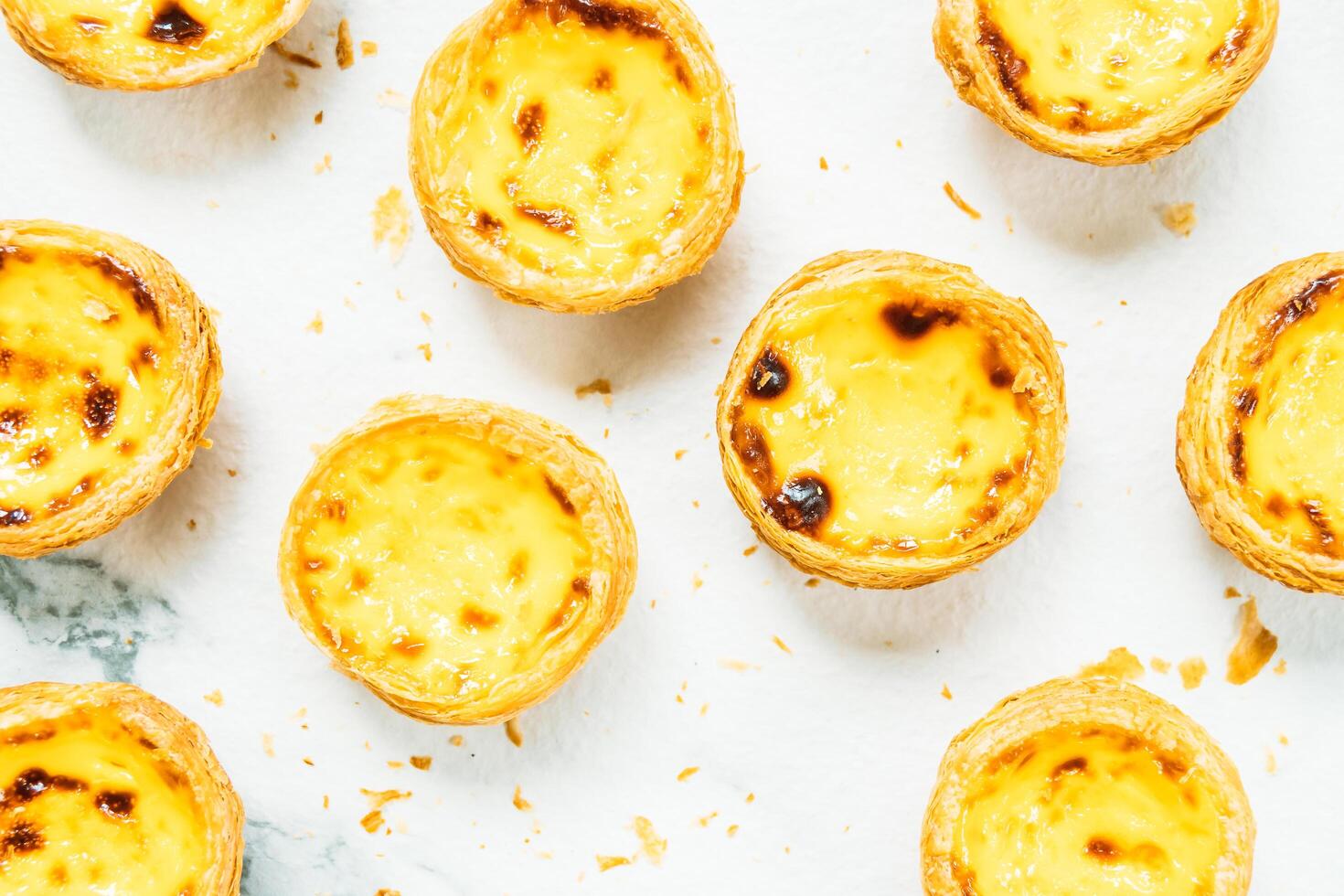 Portuguese custard tarts photo