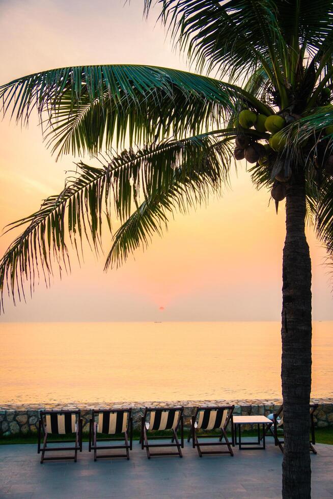 A palm tree with lounge chairs and a view of the ocean photo
