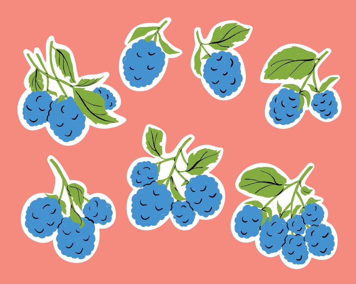 Sticker Set with Blackberry Branches Illustration on White Background vector