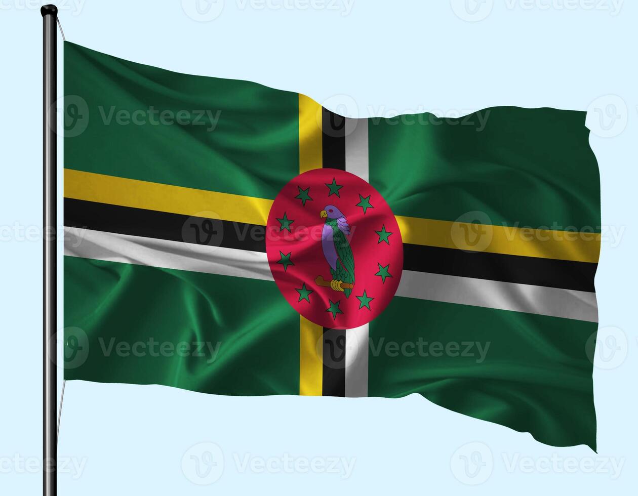 Dominica Flag Wind Waving With Pole photo