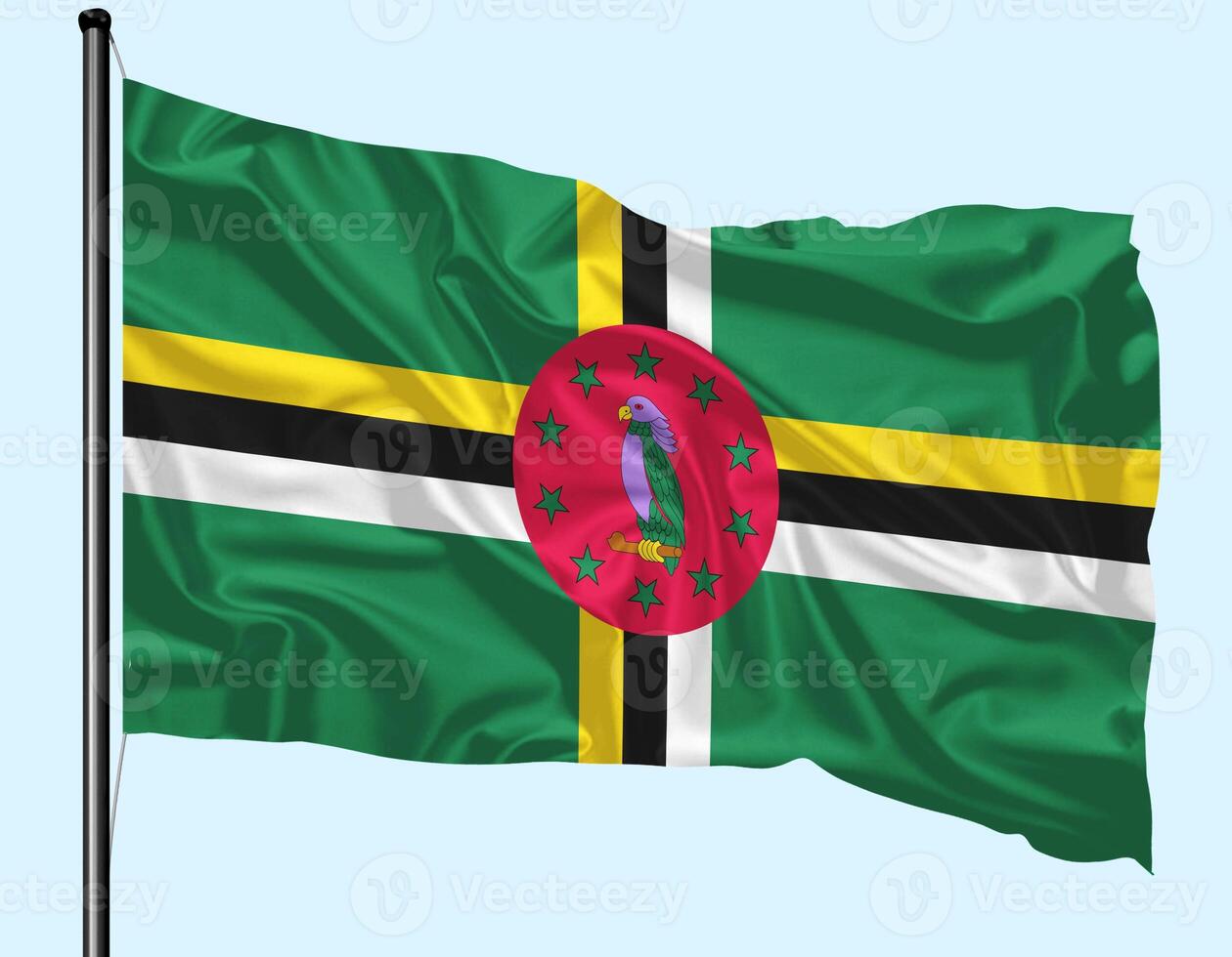 Dominica Flag Wind Waving With Pole photo