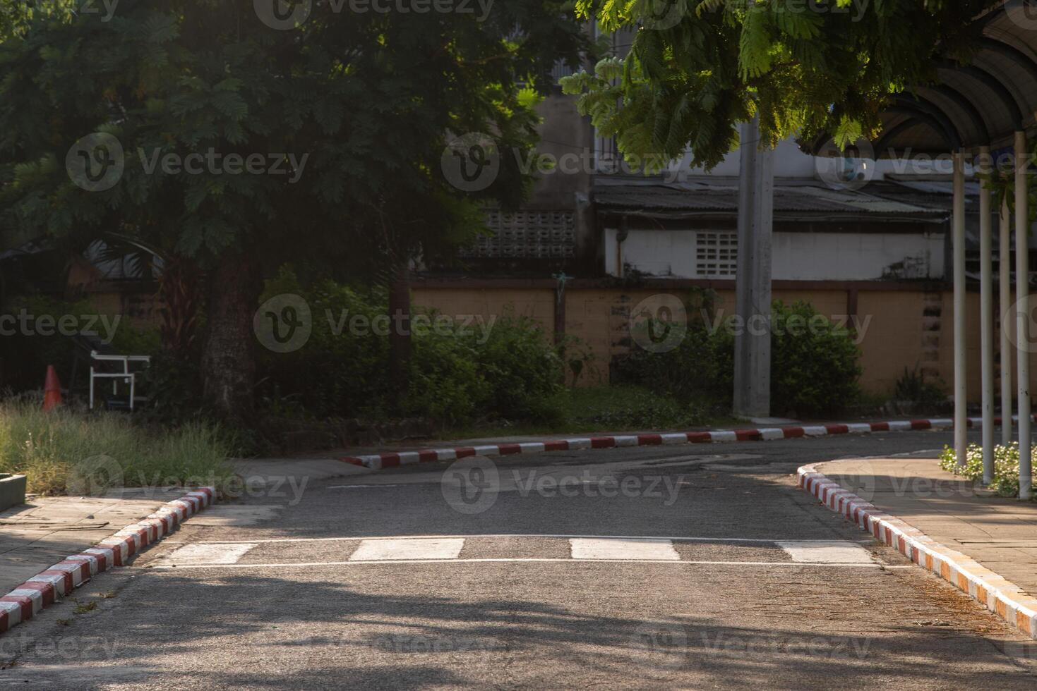 Zebra crossing for pedestrians to cross the road at school. photo