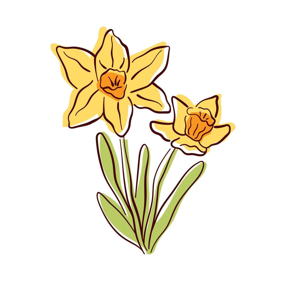 Hand drawn daffodil flower with yellow petals and green leaves. A vibrant floral illustration for spring design, greeting card and nature themed artwork. Isolated on white background. vector