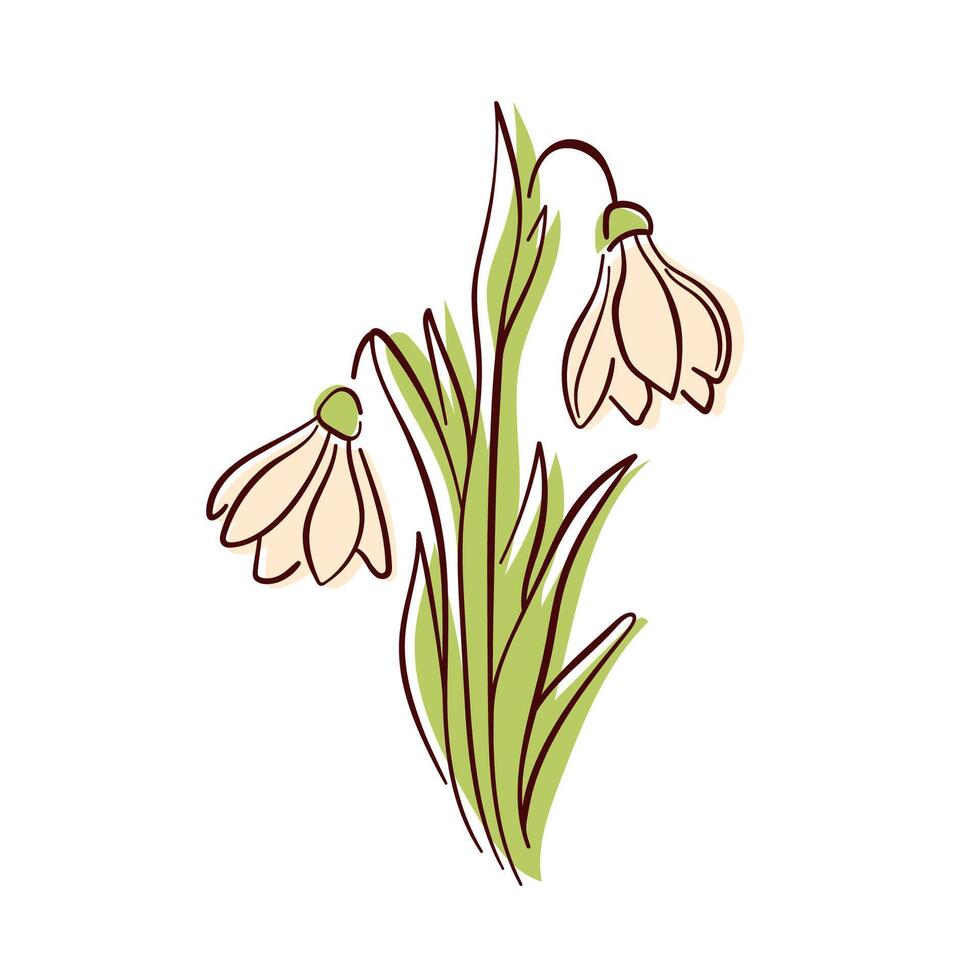 Snowdrop flower with yellow petals and green leaves in flat style. Perfect for spring design, nature art, botanical project and elegant decorative element. Isolated on white background. vector