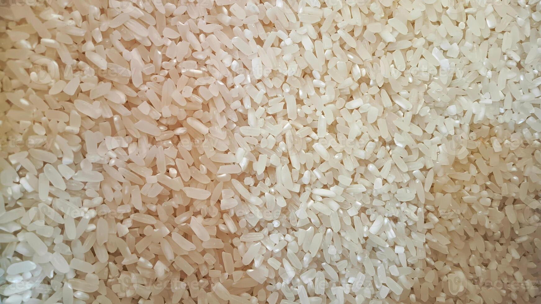 Texture of Uncooked White Rice Grains, Food Background photo