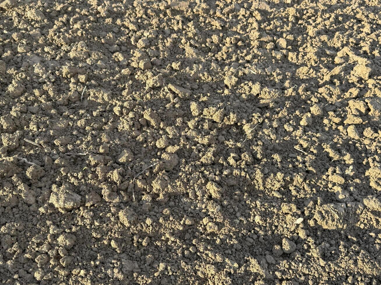 Wall of clay structure, soil background made form mud. Selective focus photo