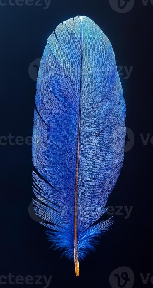 A blue feather with a black background. The feather is the main focus of the image. The blue color of the feather is striking and stands out against the black background photo