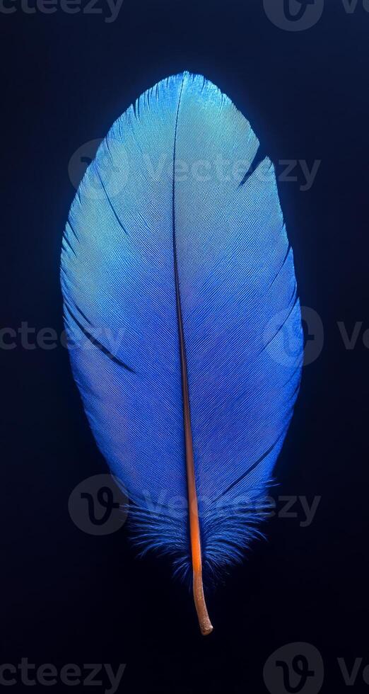 A blue feather with a yellow tip. The feather is the main focus of the image. The blue color of the feather is striking and stands out against the dark background. The yellow tip adds a pop of color photo