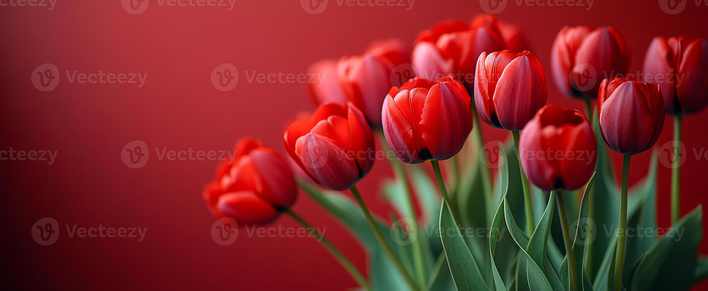 Vibrant red tulips in a elegant arrangement. A bouquet of red tulips shines against a deep red background, highlighting their vibrant color and delicate petals. photo