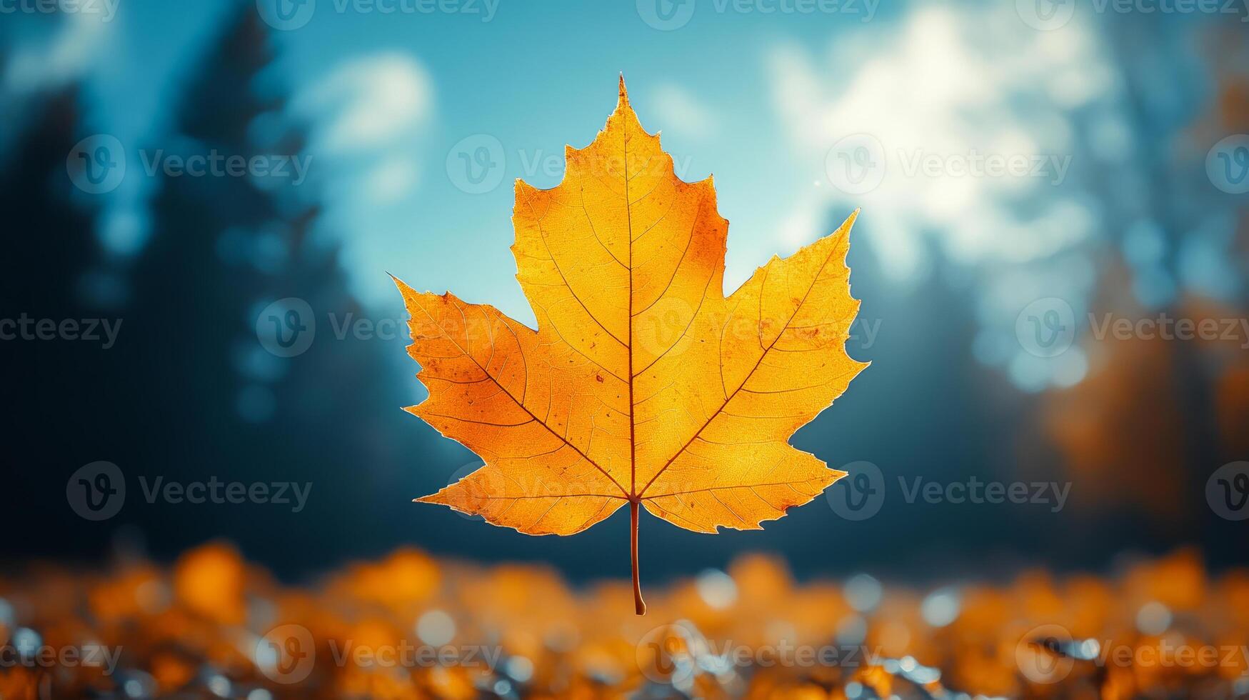 A leaf is floating in the air above a field of autumn leaves. The leaf is yellow and the sky is blue photo