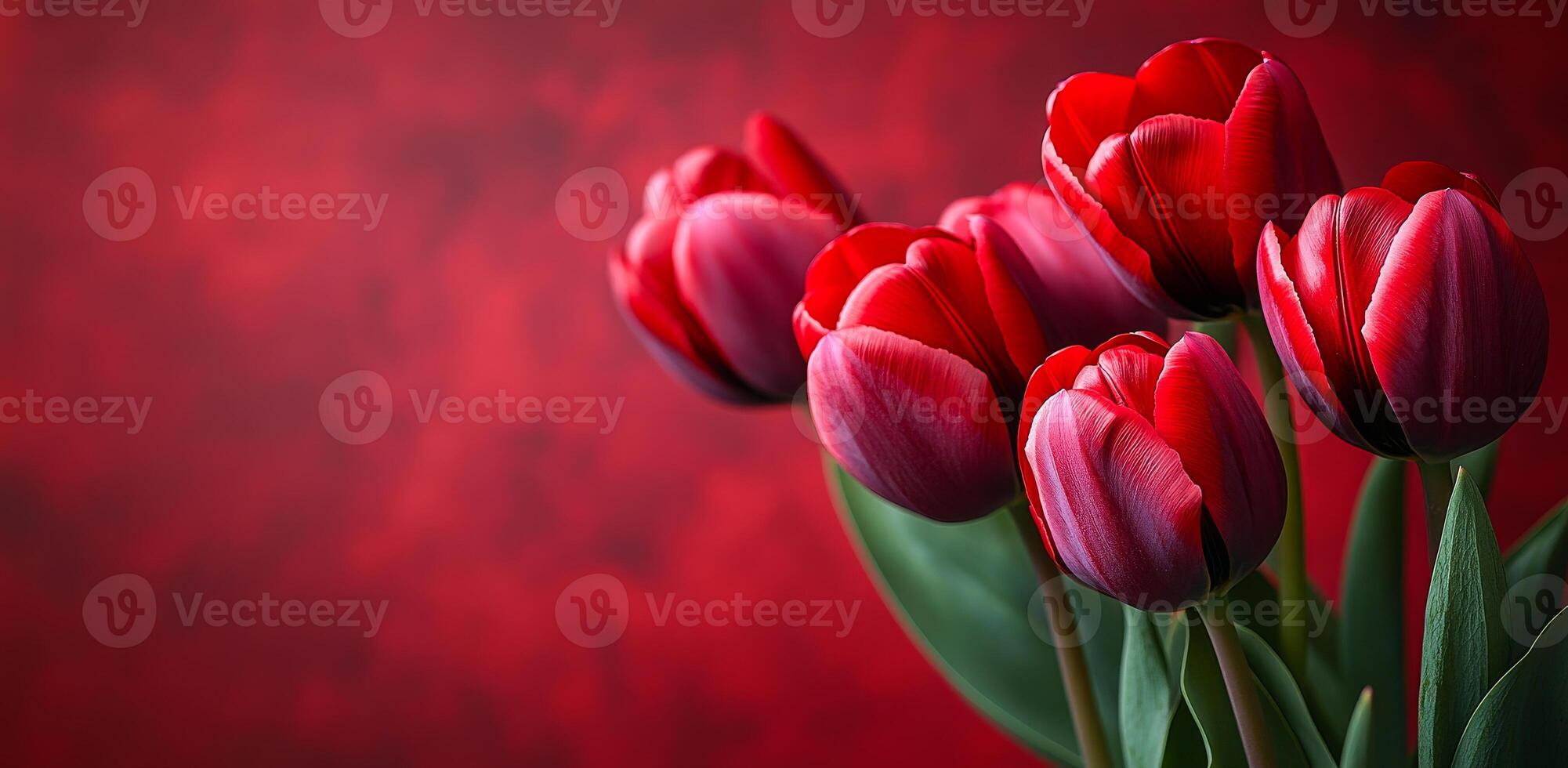 Bright red tulips against a red background. Vibrant red tulips are arranged elegantly with green leaves against a striking red background, creating a bold contrast. photo