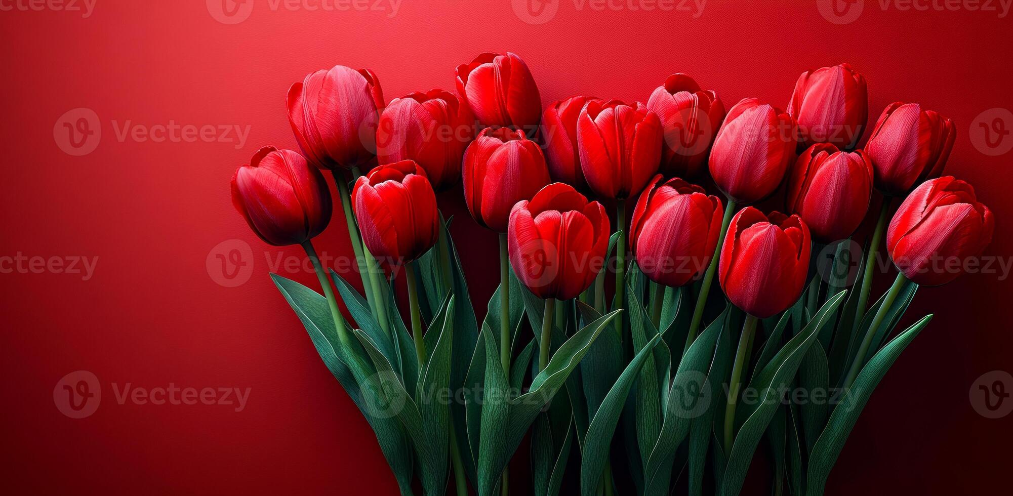 Bright red tulips arranged on a vibrant background. Fresh red tulips with green stems are artistically arranged against a striking red backdrop, creating a lively display. photo