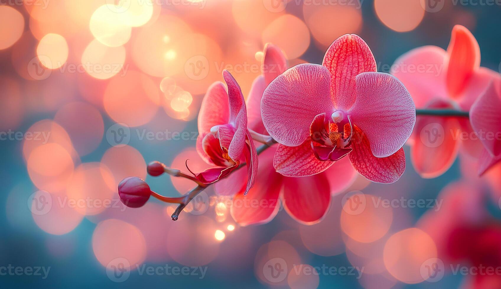 A close up of a pink flower with a blurry background. The flower is the main focus of the image, and it is a beautiful and delicate flower. The blurry background adds a sense of depth photo