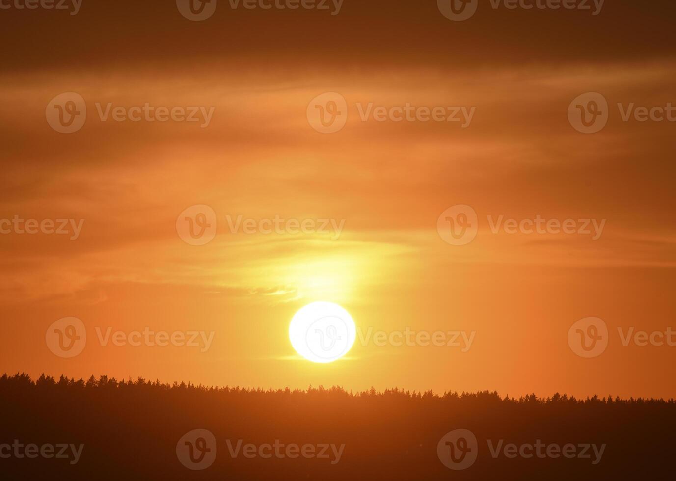 A red sunset. The setting sun over the forest in summer. photo