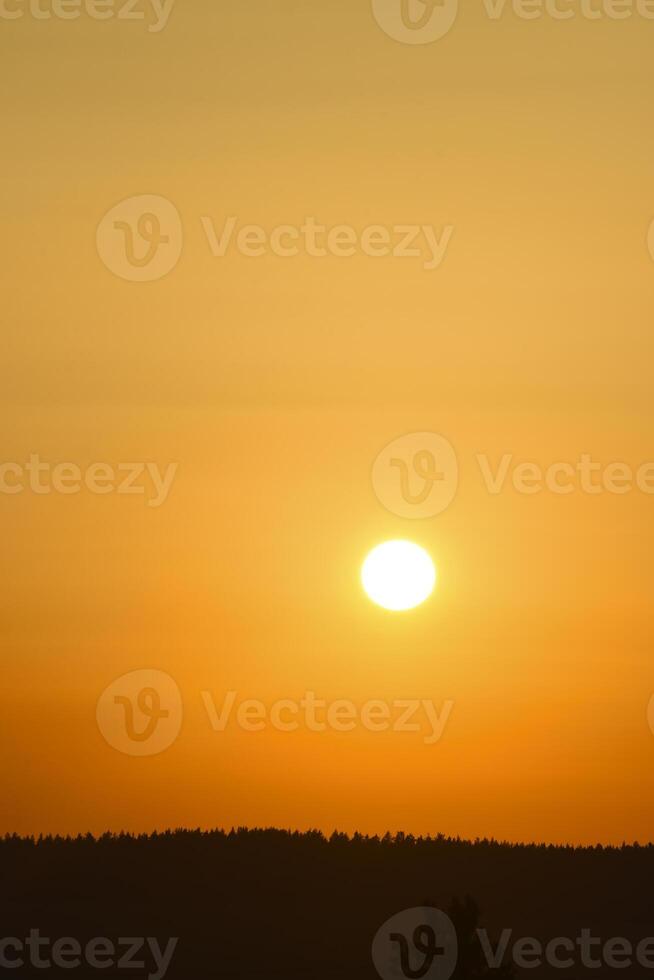 A red sunset. The setting sun over the forest in summer. photo
