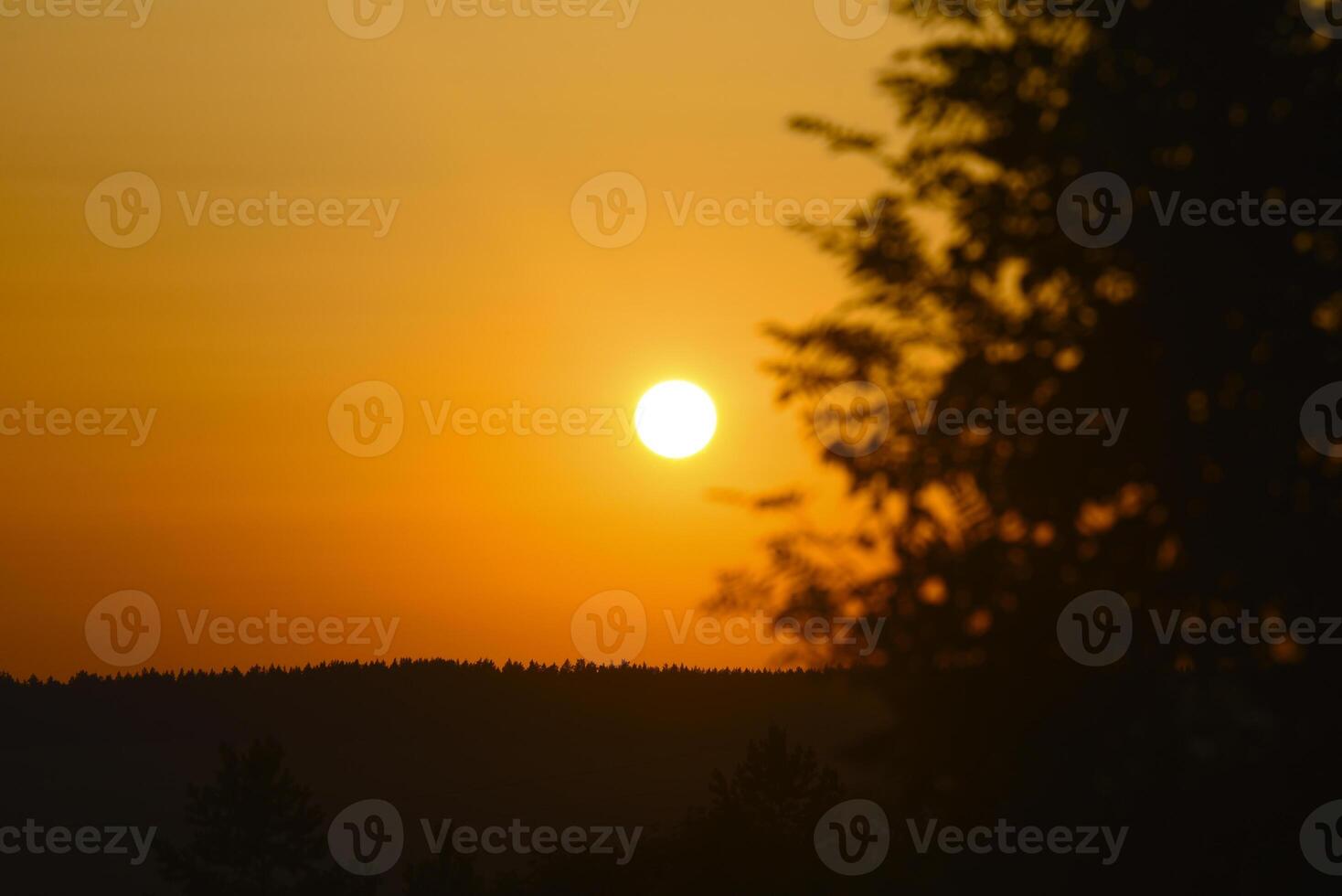 A red sunset on a tree background. The setting sun over the forest in summer. photo