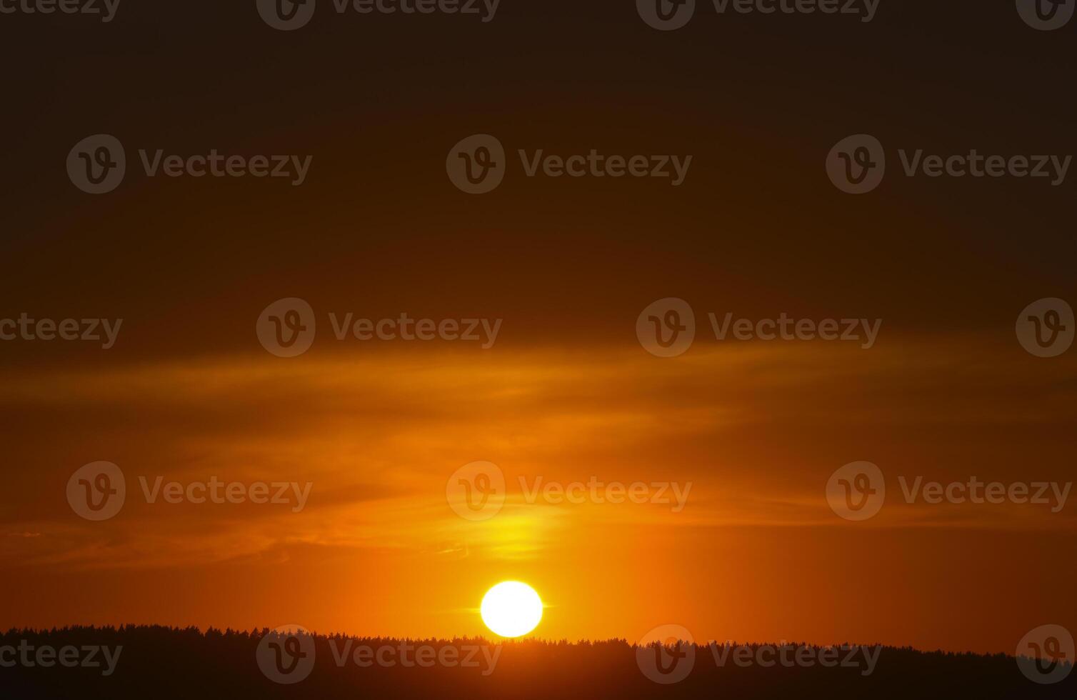 A red sunset. The setting sun over the forest in summer. photo