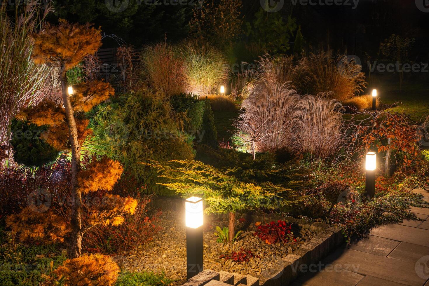 Beautifully LED Lights Illuminated Garden Landscape at Night With Varied Plants and Grasses in Autumn photo
