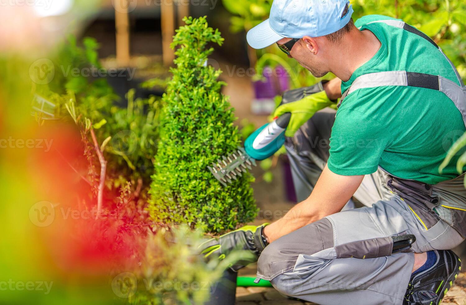 Gardener Trimming a Small Shrub in a Vibrant Nursery on a Sunny Afternoon photo