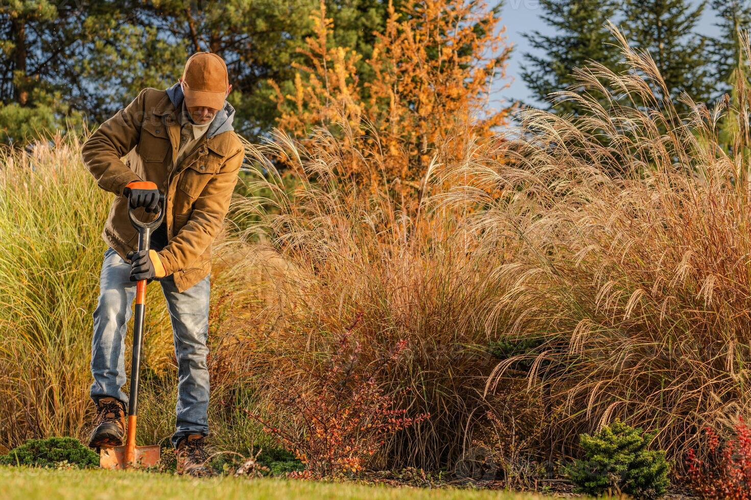 Gardener Planting in a Lush Landscape During Autumn With Vibrant Foliage in the Background photo