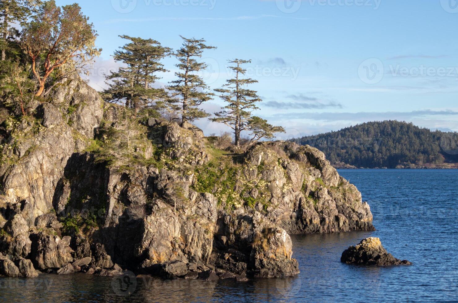 Rugged terrain and trees line the coast on Vancouver Island photo