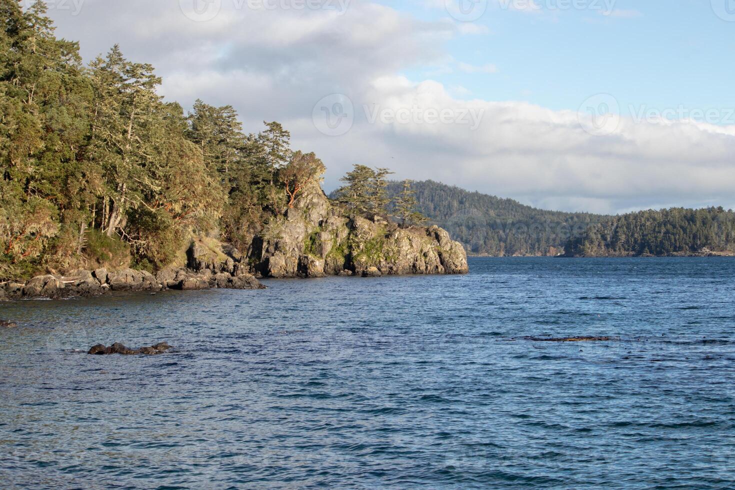 Rocks and trees on the rugged coast of Vancouver Island photo