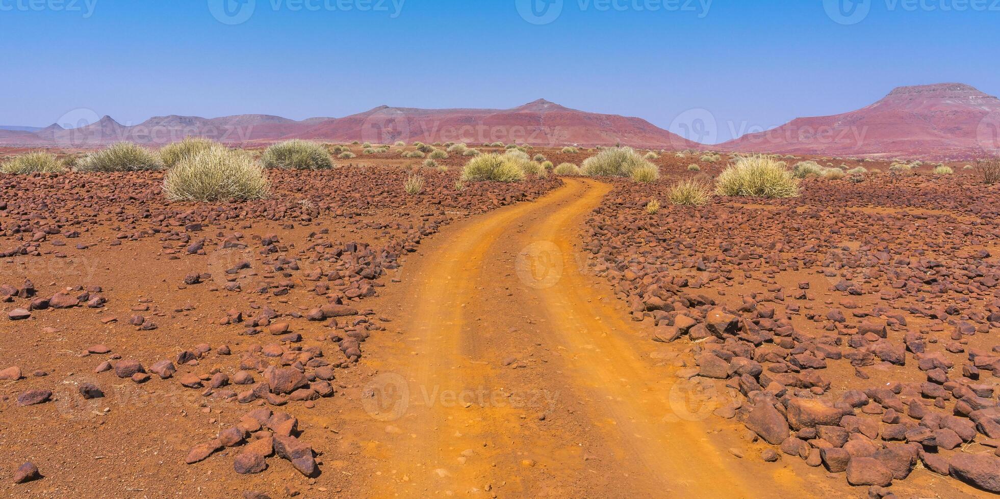 Scenic view of the Palmwag Concession Area in Namibia. photo