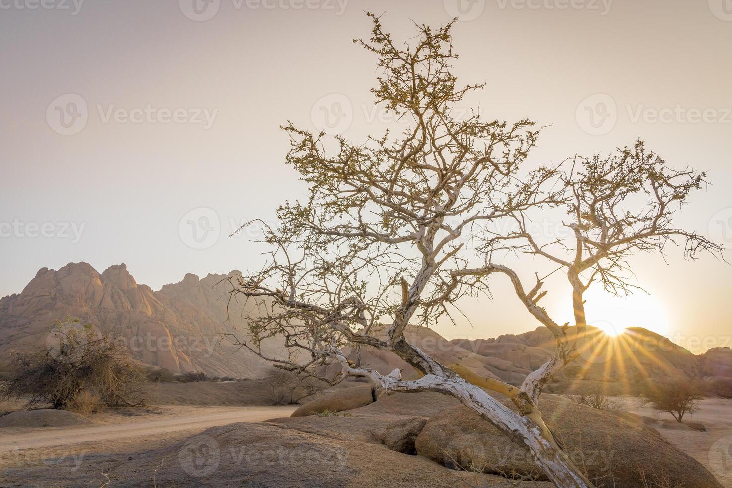 The Pondoks near the Spitzkoppe mountain in Namibia in Africa. photo