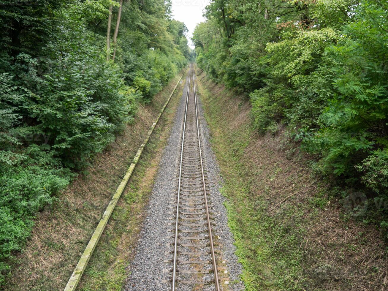 A view of a railroad track through a forest photo