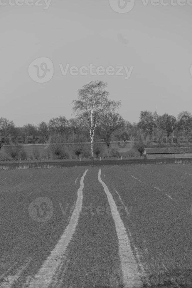 A black and white photo of a field with two tracks