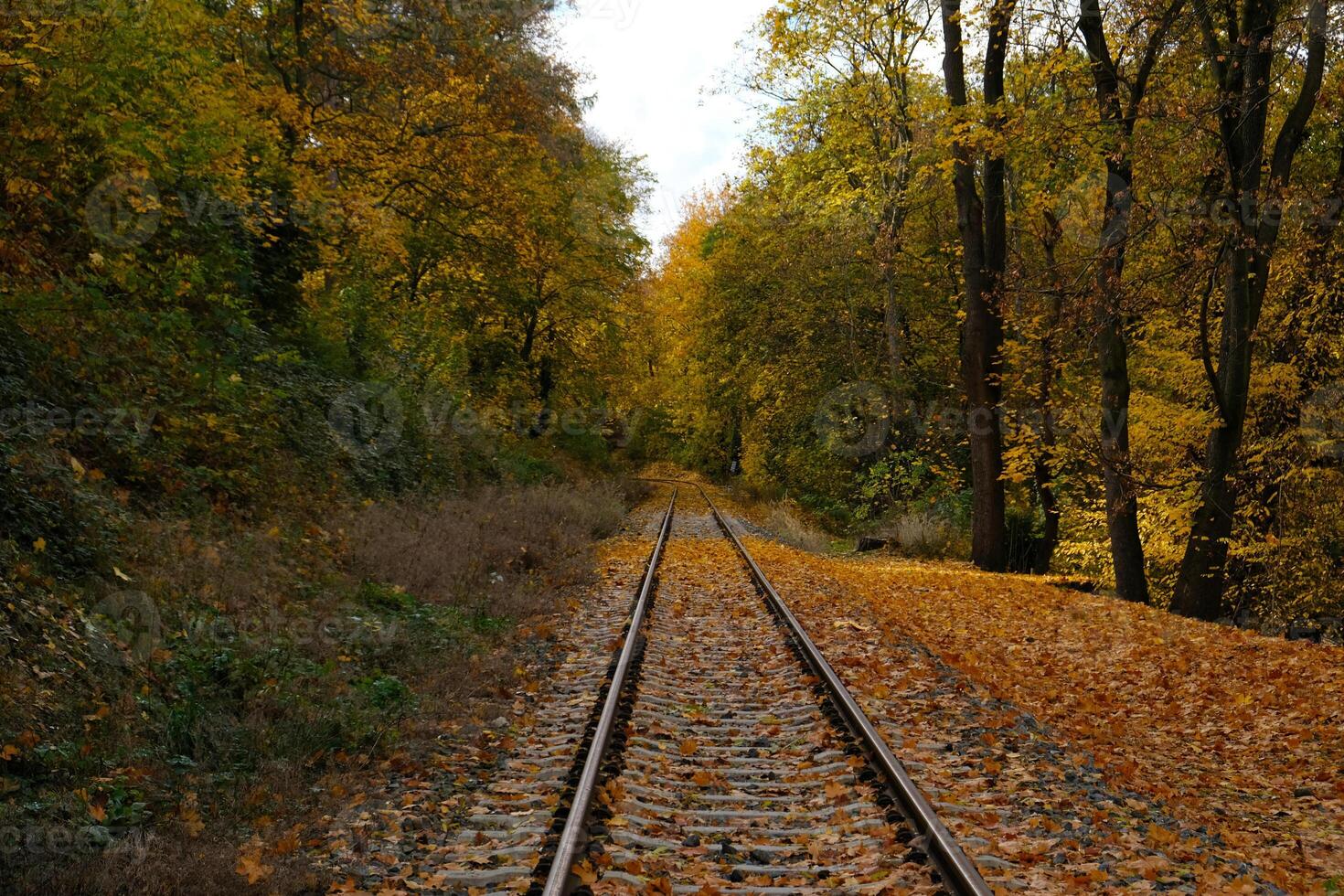 Picturesque landscape of railroad tracks stretching into the distance into autumn forest. Trees in vibrant shades of red, orange and yellow foliage create a stunning natural autumn blurred background. photo
