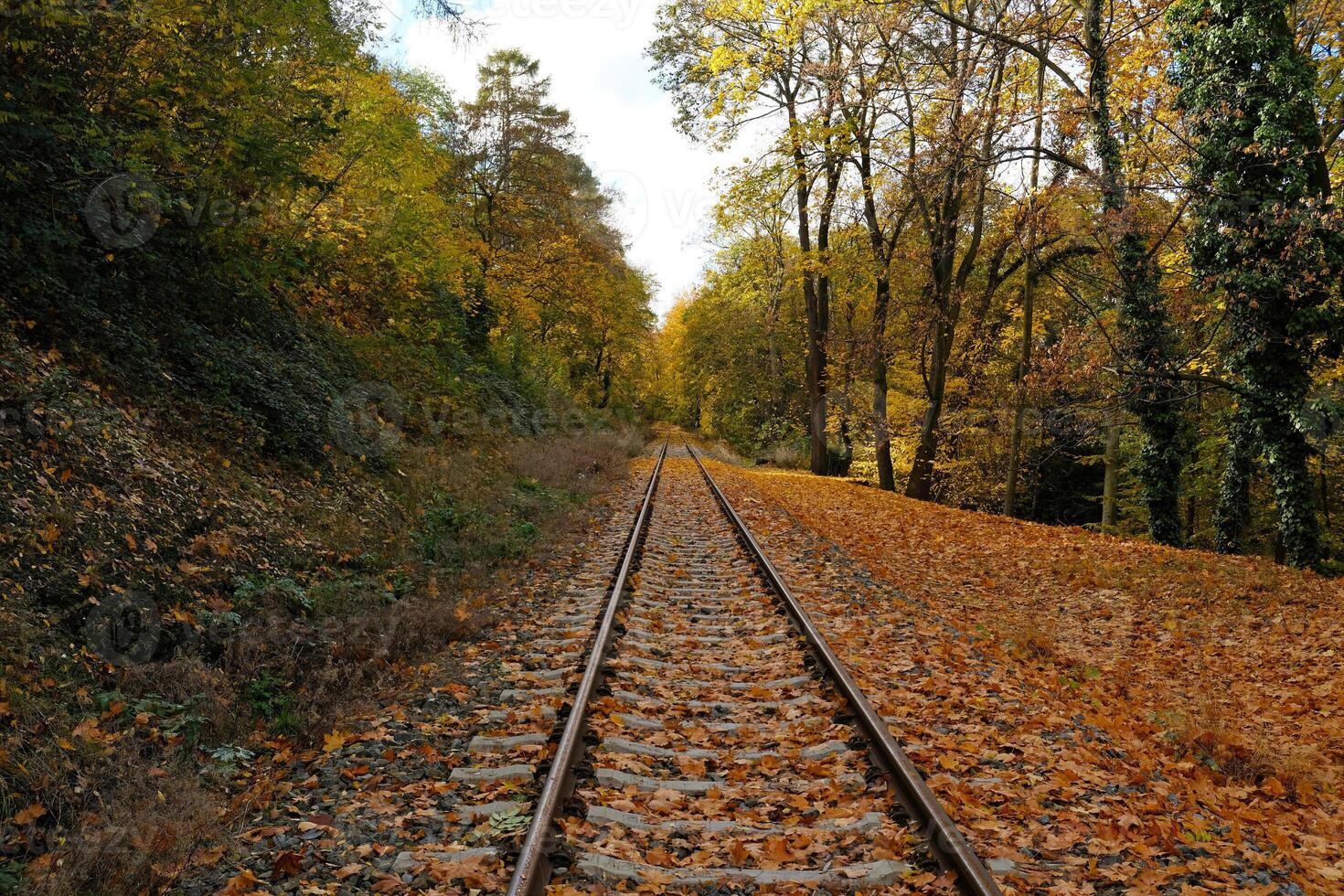 Picturesque landscape of railroad tracks stretching into the distance into autumn forest. Trees in vibrant shades of red, orange and yellow foliage create a stunning natural autumn blurred background. photo
