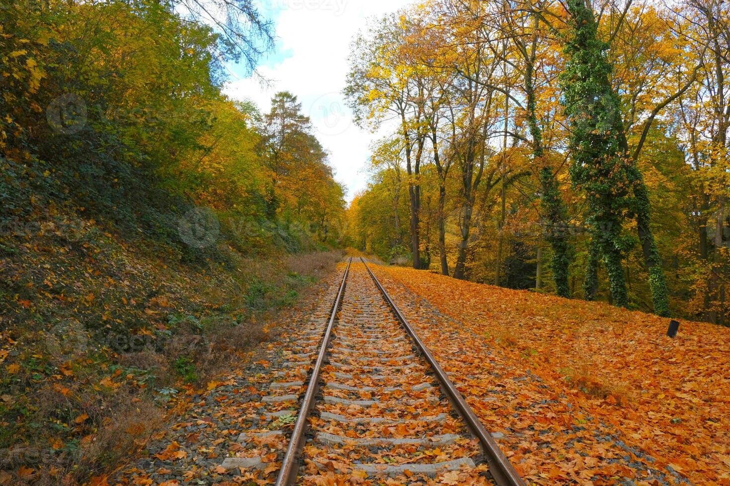 Picturesque landscape of railroad tracks stretching into the distance into autumn forest. Trees in vibrant shades of red, orange and yellow foliage create a stunning natural autumn blurred background. photo
