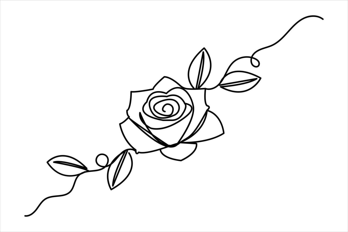 Continuous one line rose flower drawing of sketch vector