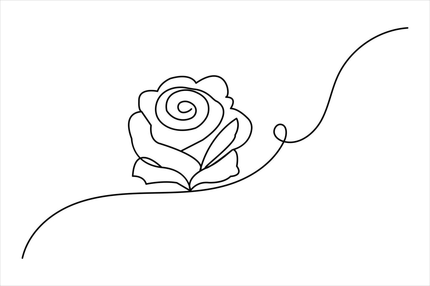 Continuous one line rose flower drawing of outline anniversary vector