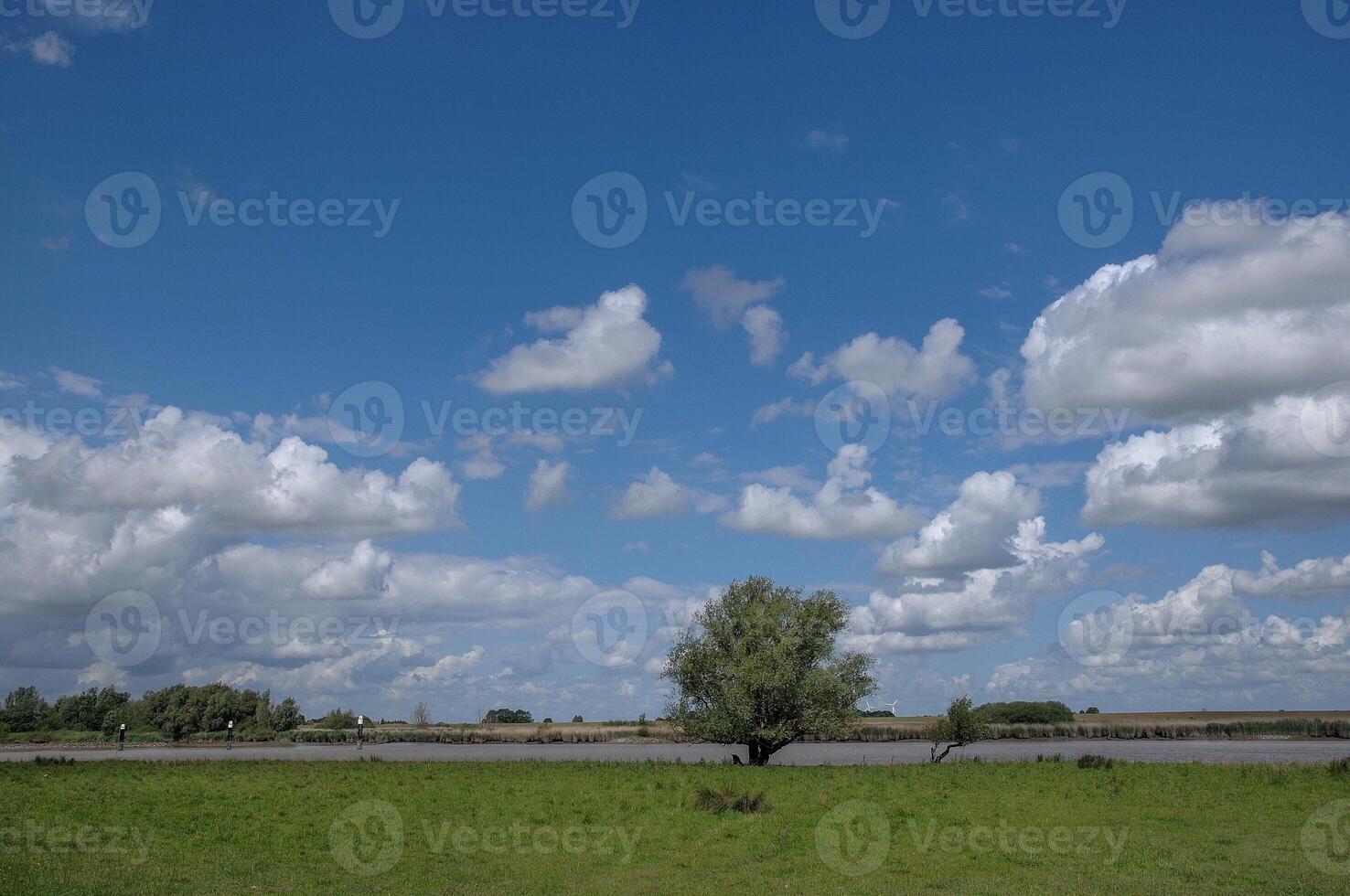 A field with a tree at the ems photo