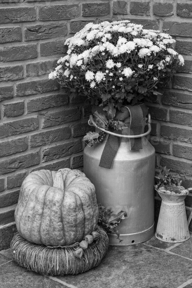 Black and white photograph of pumpkins and flowers on a brick wall photo