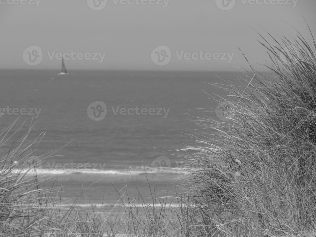 A sailboat is out in the ocean photo