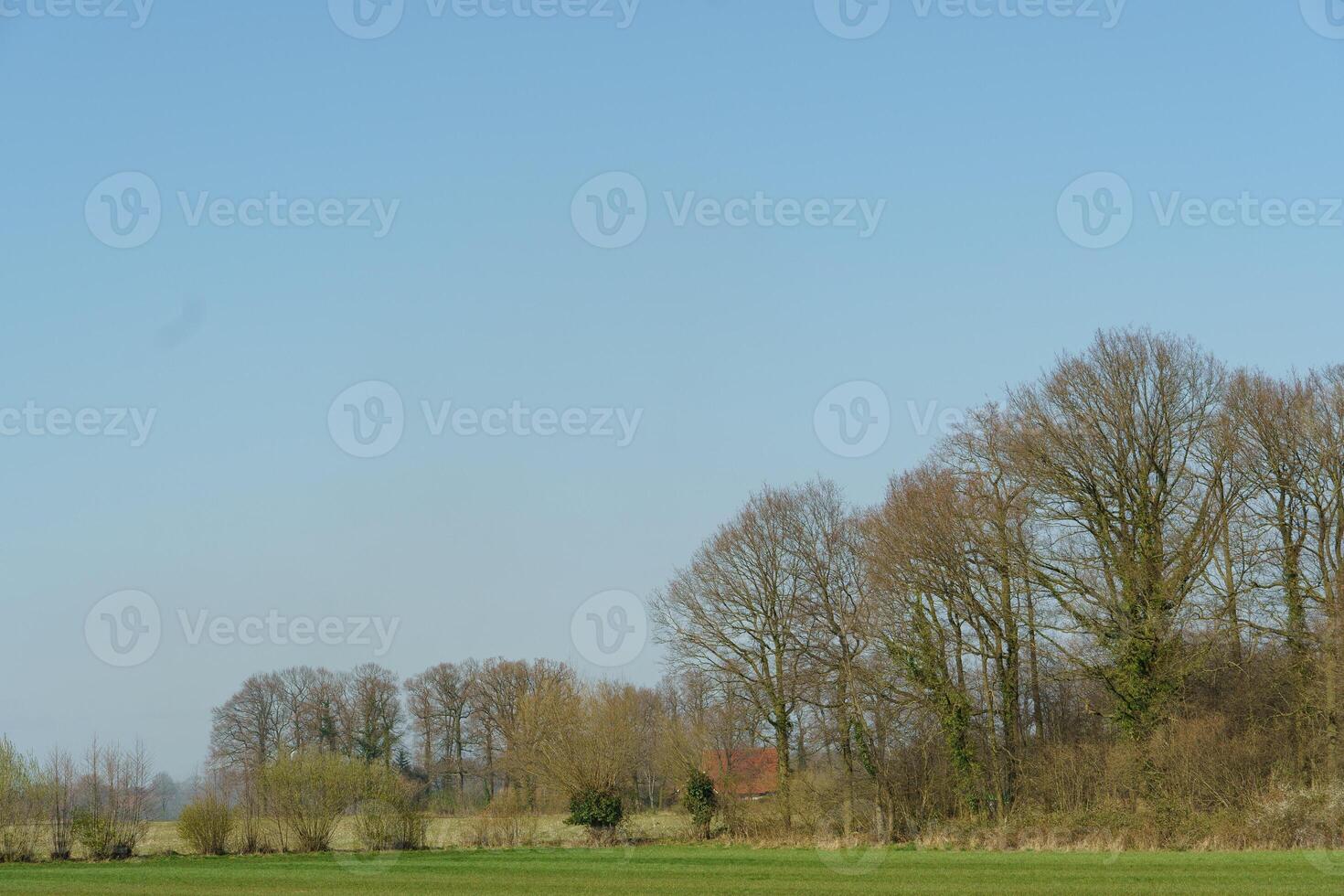 A field with a kite flying in it photo