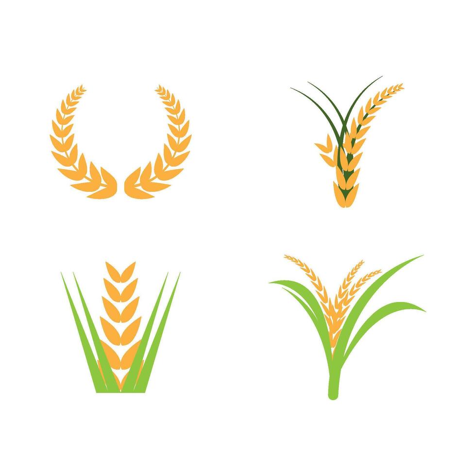 Four wheat icons on a white background vector