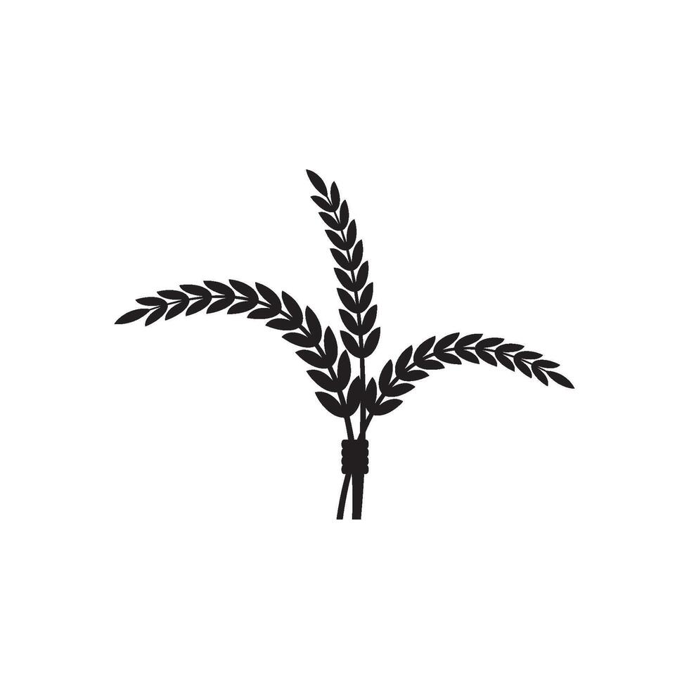 A black and white illustration of a wheat stalk vector
