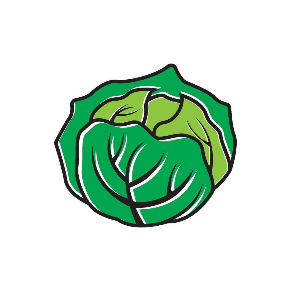 A green cabbage icon on a white background vector