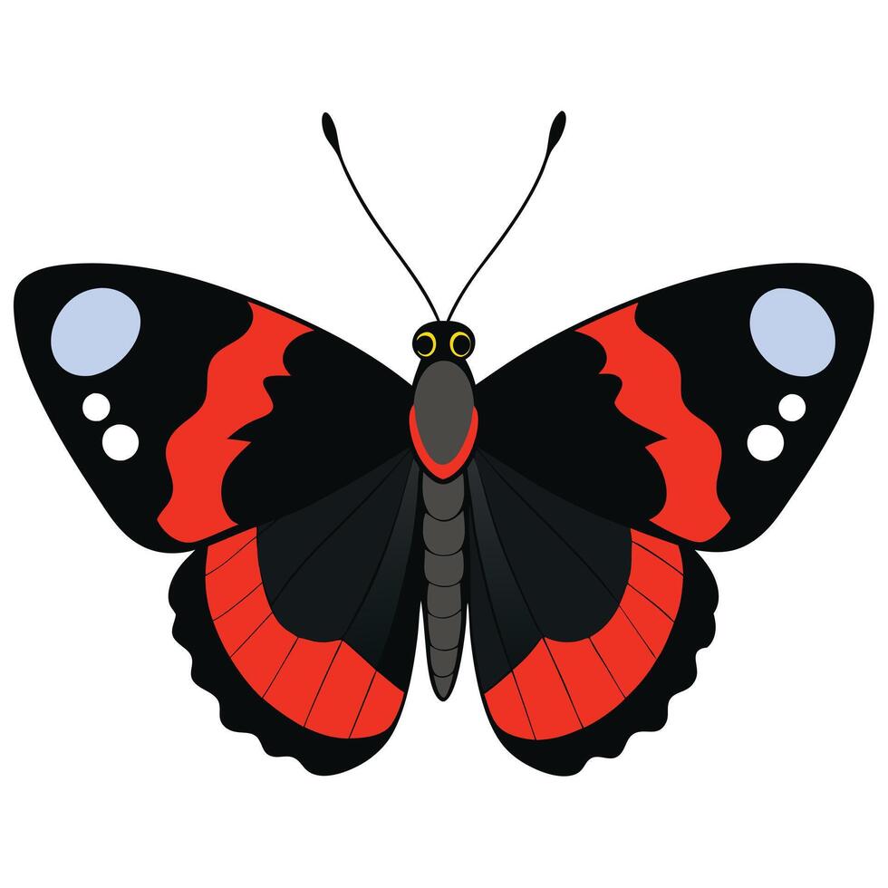 A black and red butterfly with black and red wings vector